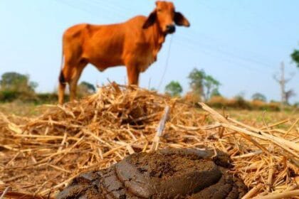 10 Ingenious Ways to Survive Winter Without Electricity