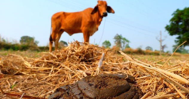 10 Ingenious Ways to Survive Winter Without Electricity