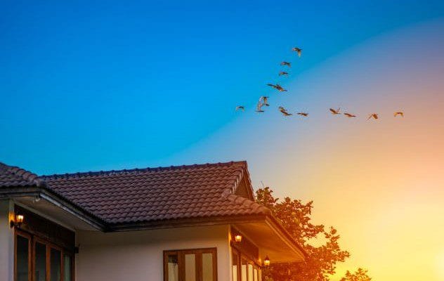 House designed with passive solar heating