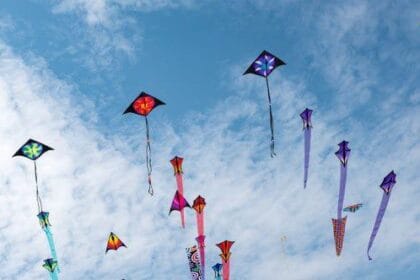 10 Tragic Kite Flying Accidents: Deaths and Injuries
