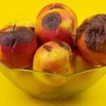 10 Wildest Things People Actually Dumped!