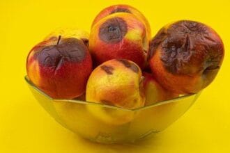 10 Wildest Things People Actually Dumped!