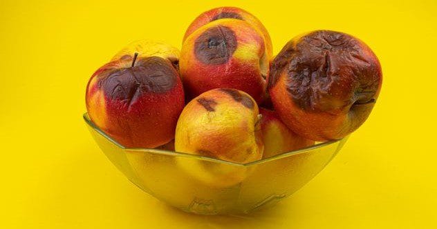 10 Wildest Things People Actually Dumped!