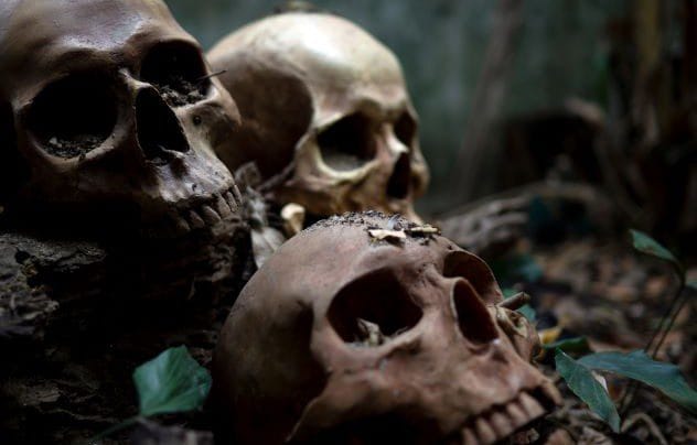 Skulls of Motala in Sweden
