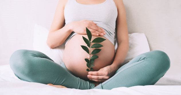 Ancient Fertility Treatments: Top 10 Weirdest Methods