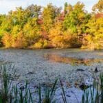 Mammoth Cave's Missing: 10 Unsolved Disappearances