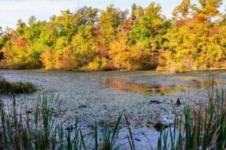 Mammoth Cave's Missing: 10 Unsolved Disappearances