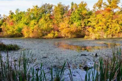 Mammoth Cave's Missing: 10 Unsolved Disappearances