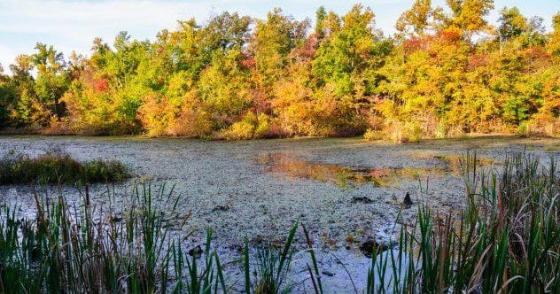 Mammoth Cave's Missing: 10 Unsolved Disappearances