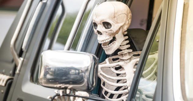 10 Weird Cases of People Stealing Skeletons