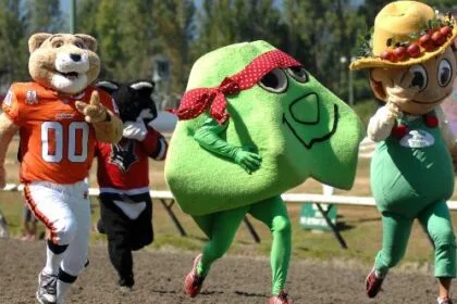 Top 10 Weirdest Mascots You've Never Heard Of!