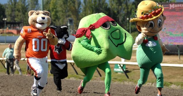 Top 10 Weirdest Mascots You've Never Heard Of!