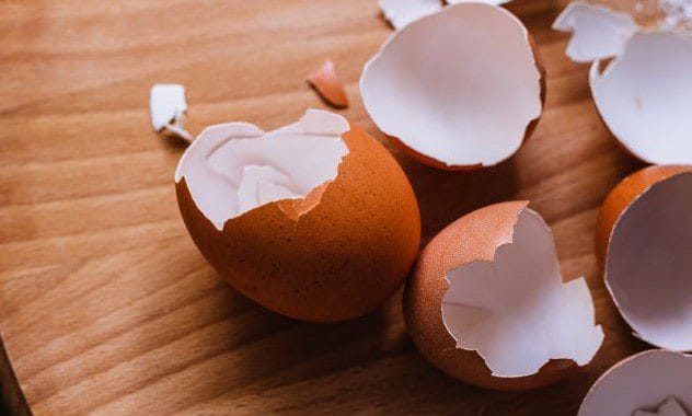 broken eggshells