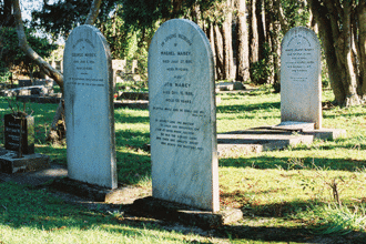 10 Unconventional Tourism Types for Your Next Adventure