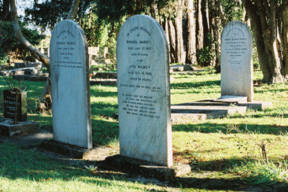 10 Unconventional Tourism Types for Your Next Adventure