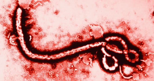 10 Reasons Ebola Isn't the Apocalypse You Fear