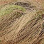 10 Ingenious Period Solutions Before Pads & Tampons