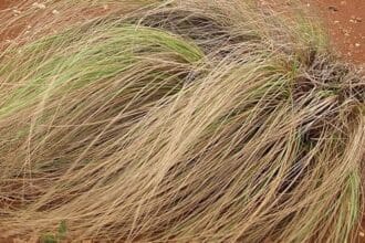 10 Ingenious Period Solutions Before Pads & Tampons