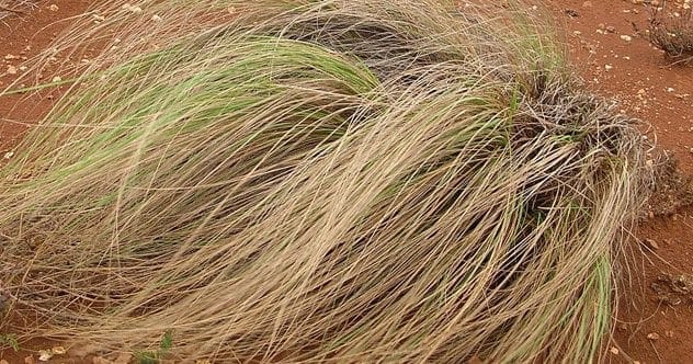 10 Ingenious Period Solutions Before Pads & Tampons