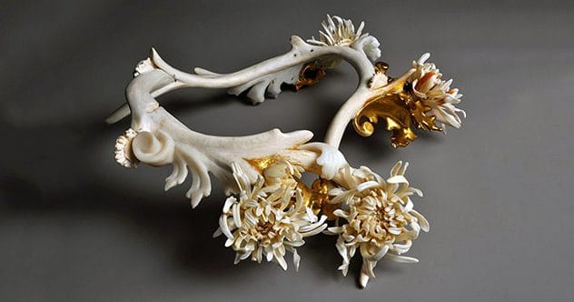 10 Strangest Bone Stashes: Unearthly Tales & Discoveries