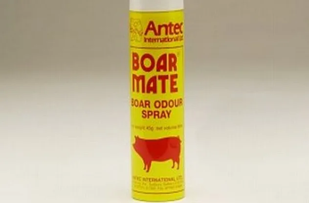 Cairn terrier dog that inspired pig perfume solution