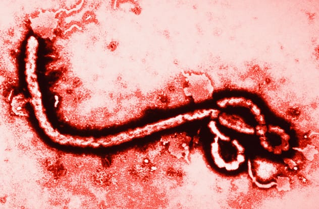image depicting virus transmission concept