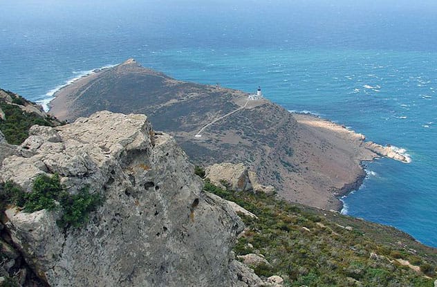 Battle of Cap Bon