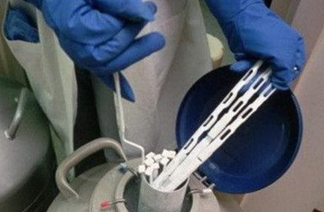 Scientist working with samples in a lab, representing a sperm bank