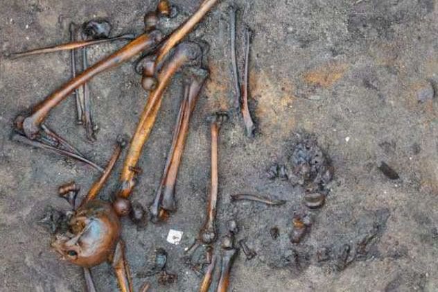 Archaeological excavation site in Alken Enge, Denmark, revealing human bones from an ancient battle