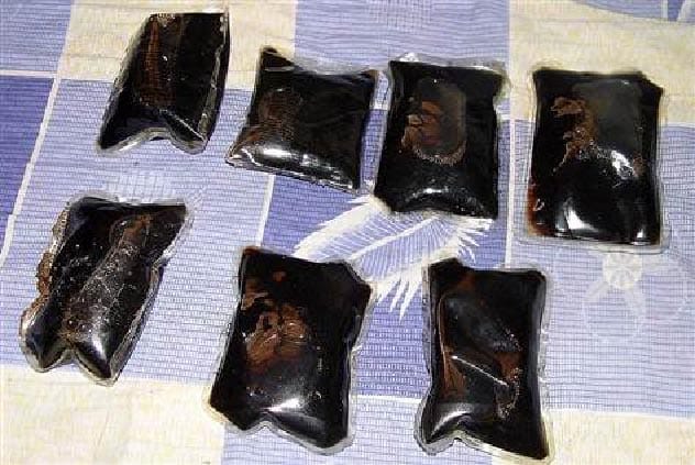 Image of puppies