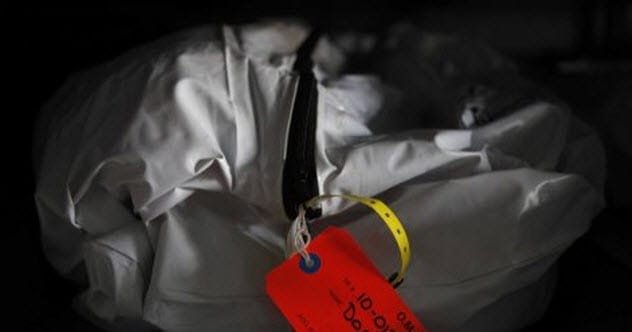 body bag