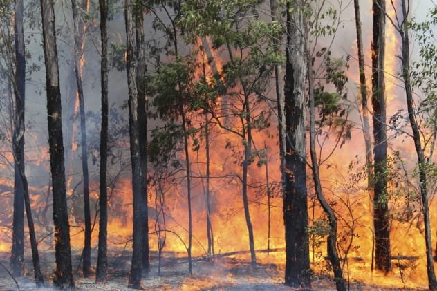 Australian bushfire