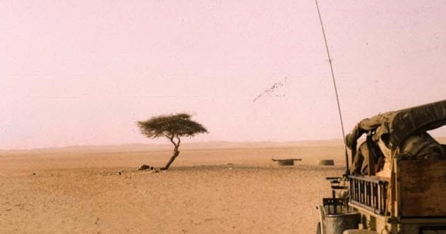 The Tree of Tenere in the Sahara Desert