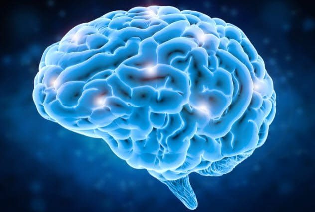 Brain illustration
