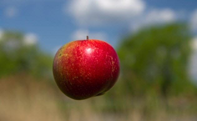 Apple