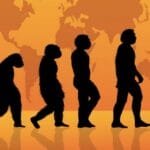 10 Surprising Natural Phenomena Misconceptions