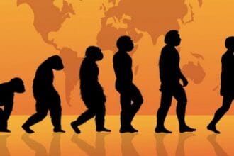 10 Surprising Natural Phenomena Misconceptions