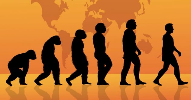 Evolution illustration