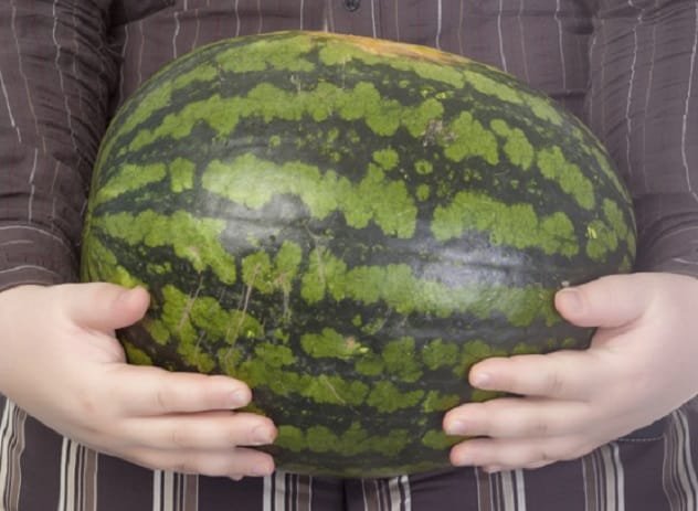 Melon