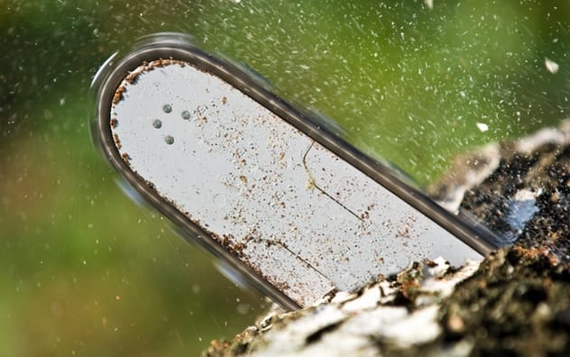 Chainsaw evolution over time