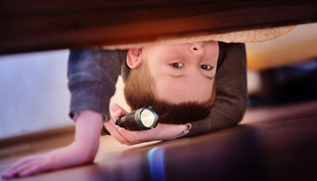 Monster under the bed