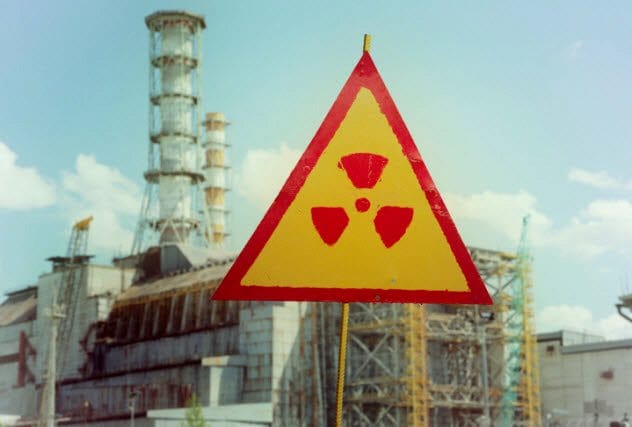 Radiation-Munching Fungi