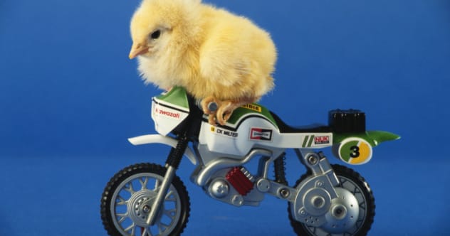 10 Movie Motorcycle Stunts That Are Utterly Impossible