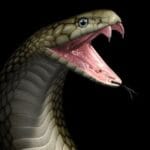 10 Shocking Acts of Human Cruelty You Haven't Heard Of