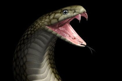 10 Shocking Acts of Human Cruelty You Haven't Heard Of