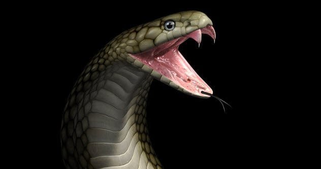 10 Shocking Acts of Human Cruelty You Haven't Heard Of