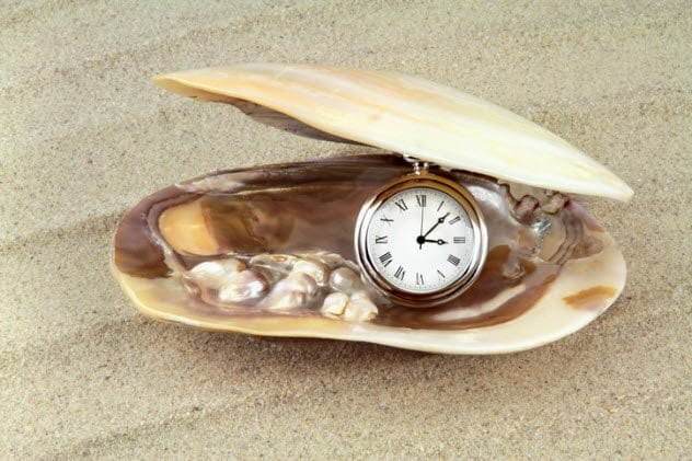 An elaborate seashell, imagined as a bomb by the CIA.