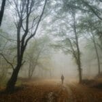 10 Unsolved Mysteries That Continue to Baffle Experts