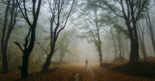 10 Unsolved Mysteries That Continue to Baffle Experts