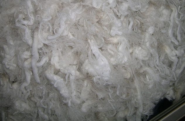 Wool tampons in Ancient Greece